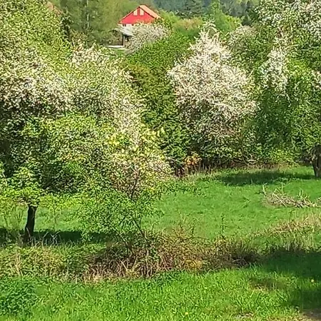 La Grange Aux 5 Sens Villa Walscheid Buitenkant foto
